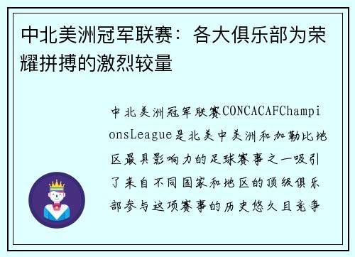 中北美洲冠军联赛：各大俱乐部为荣耀拼搏的激烈较量